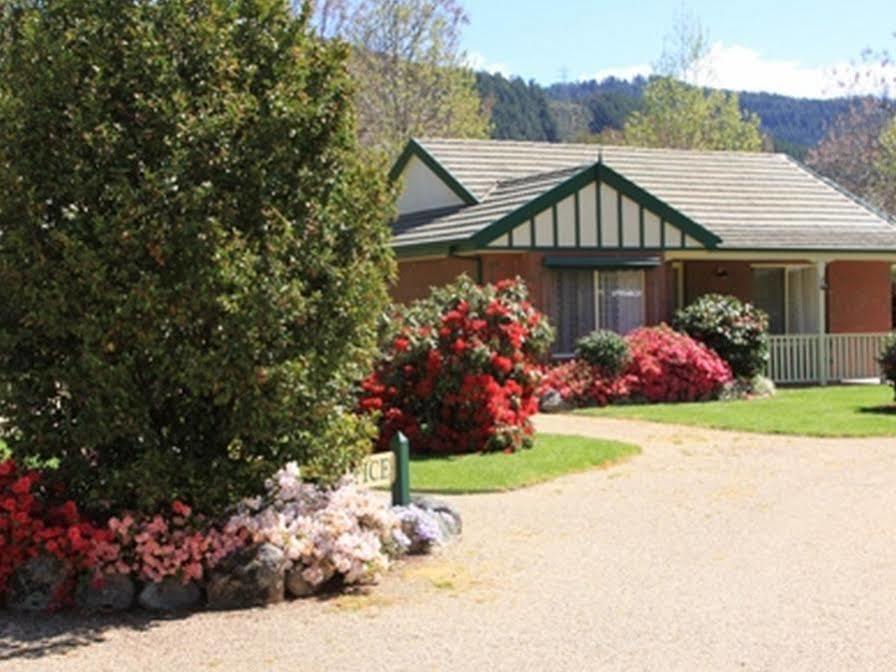 The Birch House - Silver Birches Accommodation Bright Exterior foto